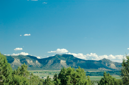 Mesa Verde in the summer
